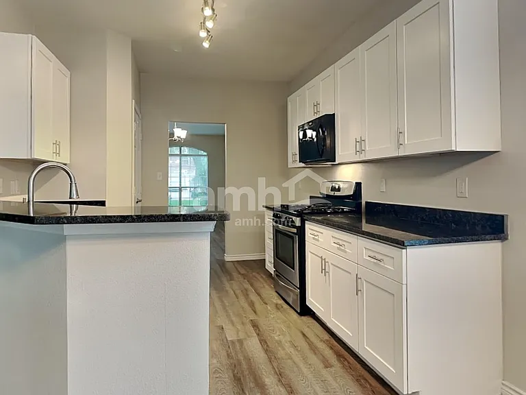 10931 S Falls Ter — Photo 3