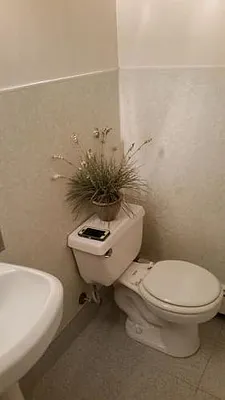 Rented by Superior Realty Service | media 1