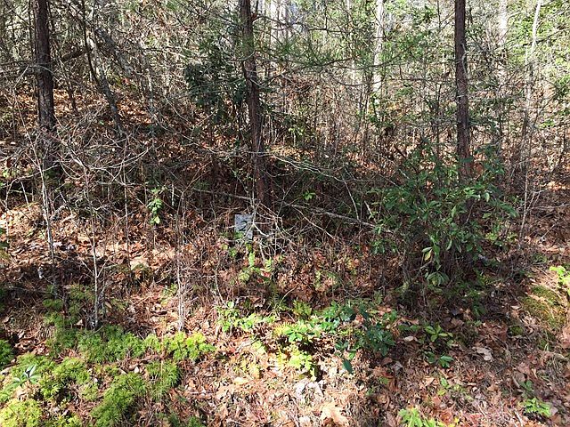 1st image of 2 Jay Bird Dr Lot 2