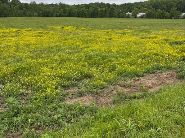 1075 Patterson Rd, Russell Springs, KY 42642