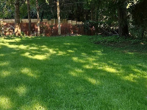 Partial view of back yard