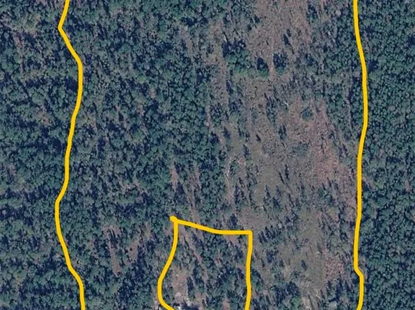 745 E Pine Pebble Rd, Livingston, TX 77351