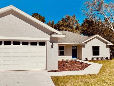 57 Bay Dr, Ocklawaha, FL, 32179