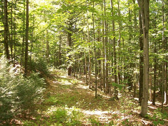 4th image of 00 Phelps Brook Ln
