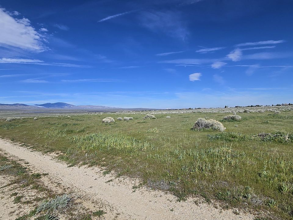 1st image of Vicinity Ave #B12