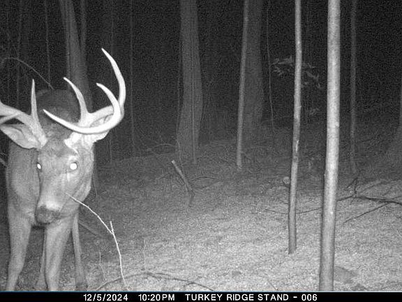 3rd image of 4345 Mount Unger Rd