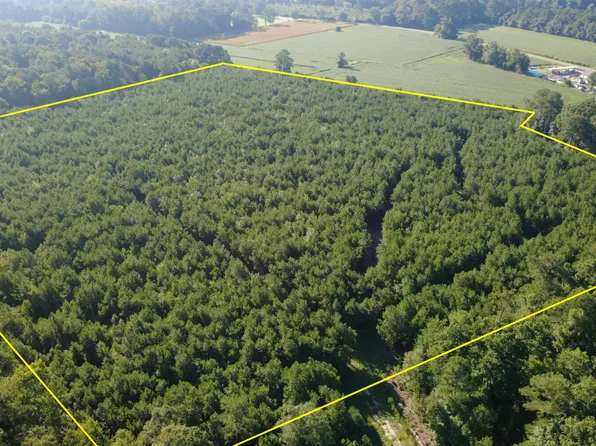0 Frank Cottle Rd, Teachey, NC 28464