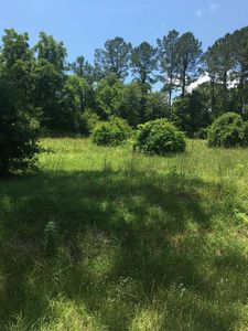 300 Twin Ponds Dr #B1, Havana, FL, 32333