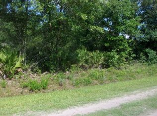 10235 Delgado Ave, Hastings, FL 32145