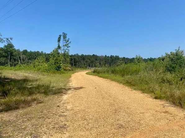 0 Robert Jones Rd, Summit, MS 39666