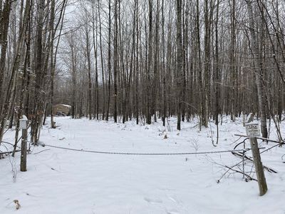 Peters Rd, Posen, MI, 49776