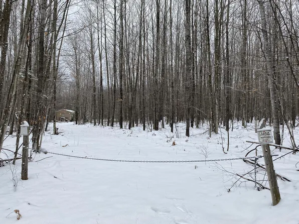 Peters Rd, Posen, MI 49776