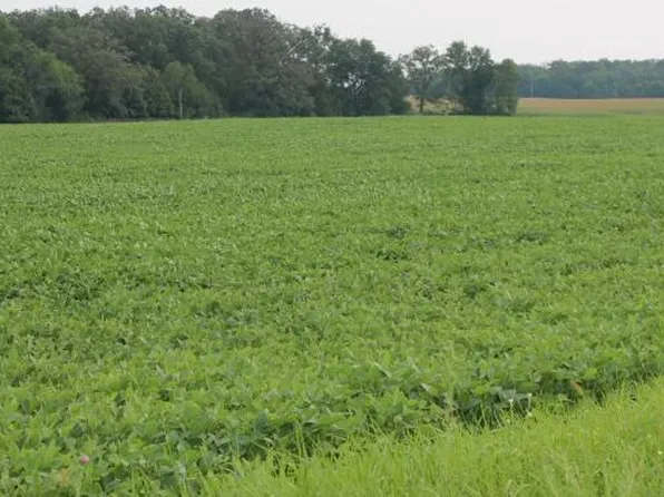 5 County Road 14 NE, Eagle Bend, MN 56446