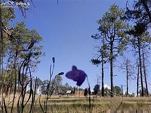 4th image of 13395 Frank Rd