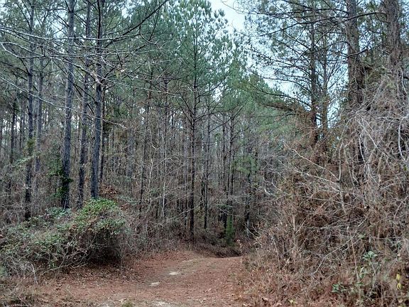 2nd image of Dock Gator Rd