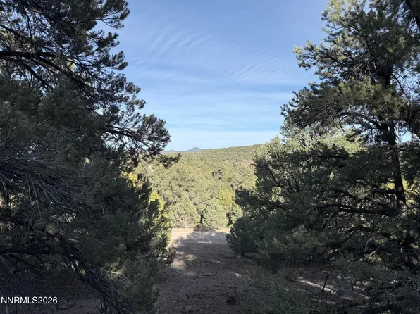21695 Dortort Dr, Vc Highlands, NV 89521