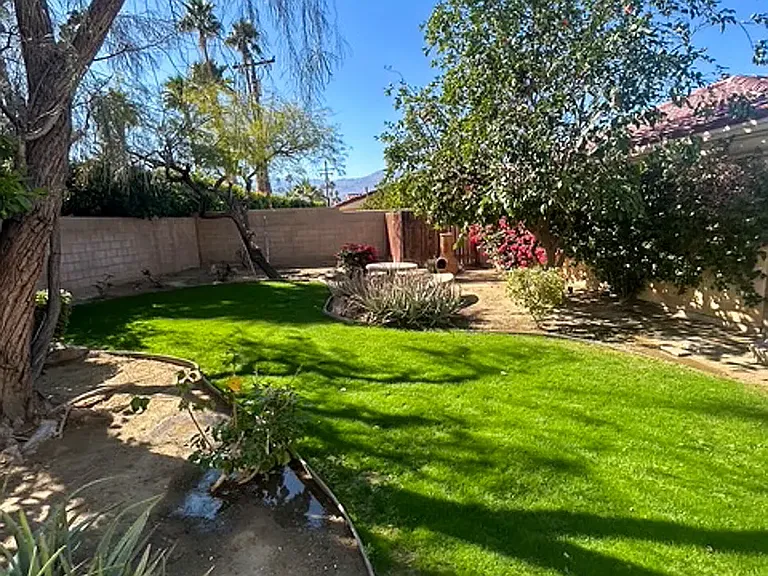 Shared Courtyard