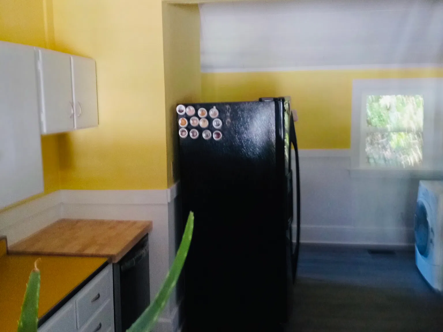 2 bed, 1228 sqft, $1,600 — Photo 4