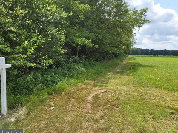 0 Galestown Reliance Rd, Rhodesdale, MD 21659