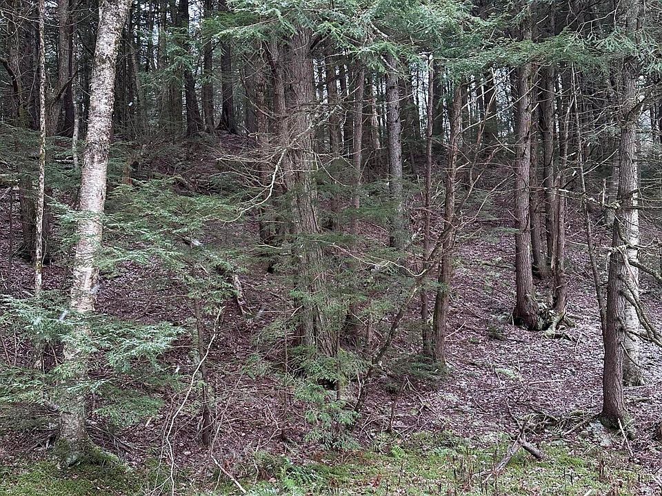 2nd image of 0 Old Route 9