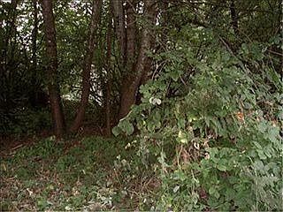 5th image of 4707 Clar Mar Ln SE