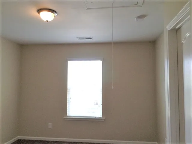 12025 Virginia Pine Ln — Photo 11