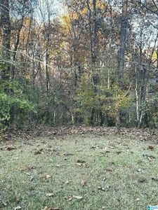301 Forest Pkwy #81, Alabaster, AL, 35007