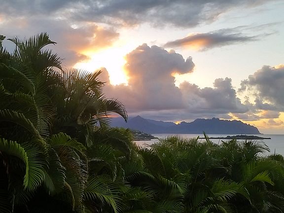 Golden sunsets