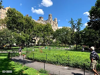 Rented by Citi Habitats