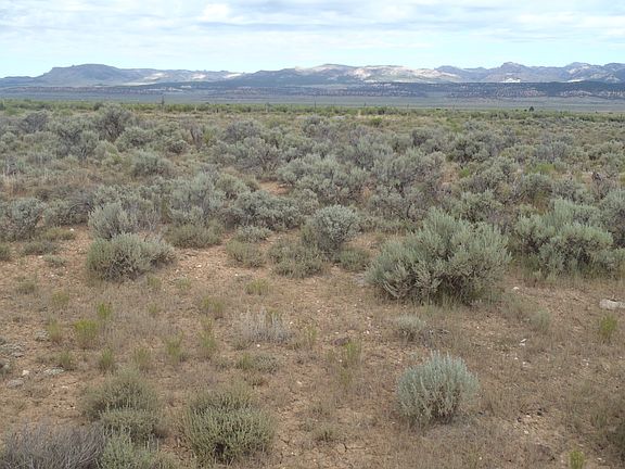 2nd image of All Of Lot 4