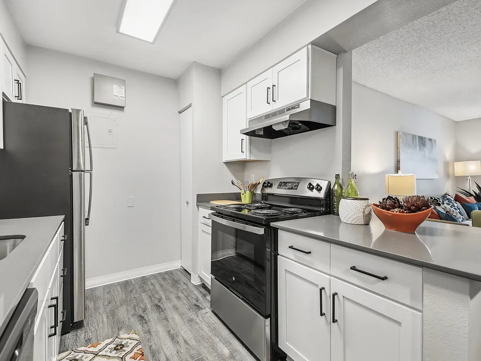 Sleek kitchen with modern cabinetry and open counter space.
