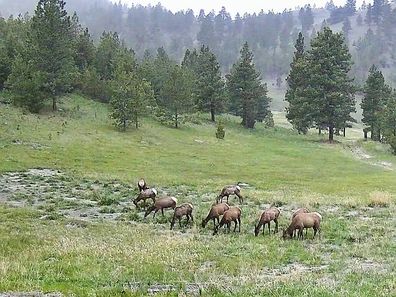 2nd image of 4915 W Us Highway 12