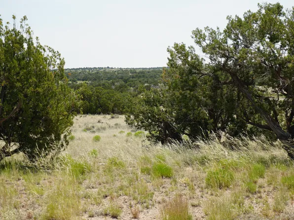 253 Woodland Valley Rnch, Saint Johns, AZ 85936