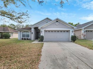 11201 Irish Moss Ave, Riverview, FL 33569