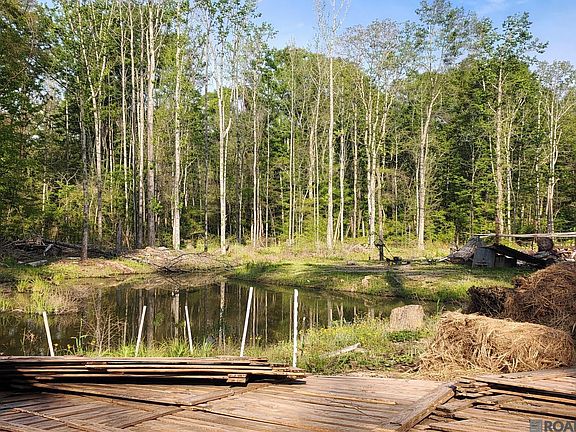 3rd image of 24670 Brian Rd