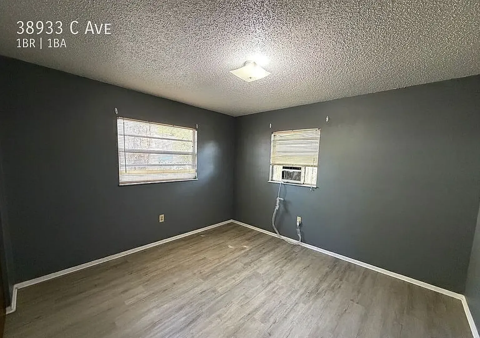 Zephyrhills Duplex! — Photo 4