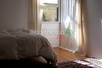 5th image of 1333 Westerly Ter
