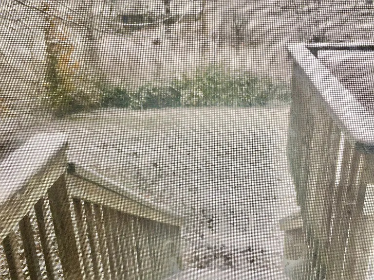 3706 Wayside Dr — Photo 9