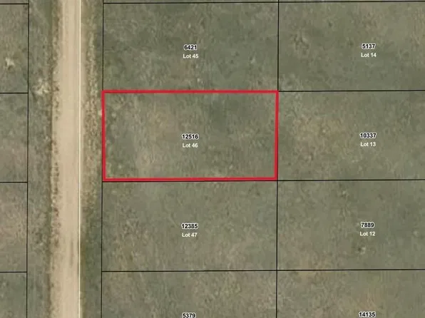 Buck Street LOT 46, Hartsel, CO 80449