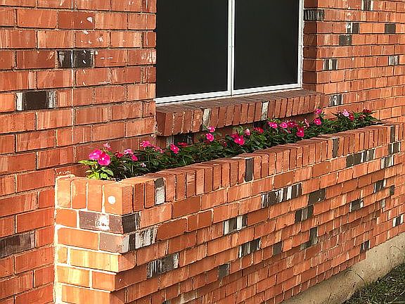 4th image of 210 Van Rowe Ave