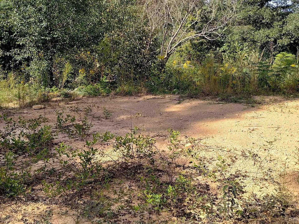 1st image of 70 County Road 1516 Lot 2