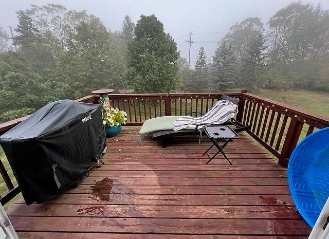 Back Deck