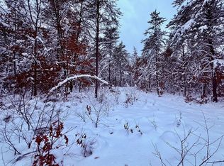 11335 S Broadway Rd, Bitely, MI 49309