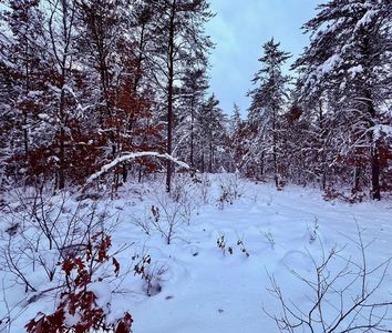 11335 S Broadway Rd, Bitely, MI, 49309