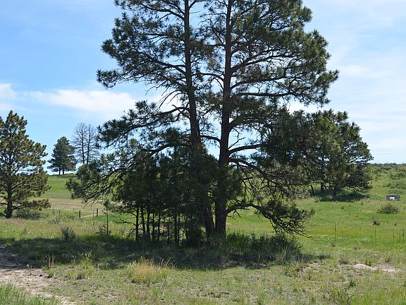 3rd image of Deer Ln