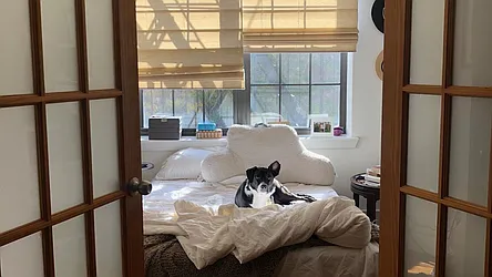 Rented by Nooklyn NYC LLC