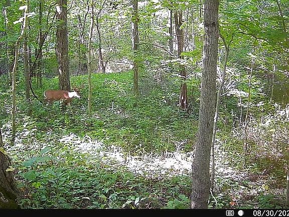 3rd image of 0 E 200th Rd