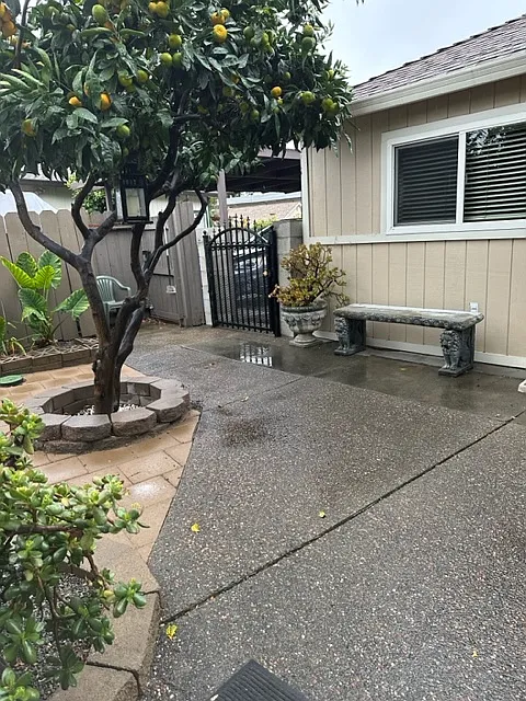 1 bed, 650 sqft, $2,650 — Photo 3
