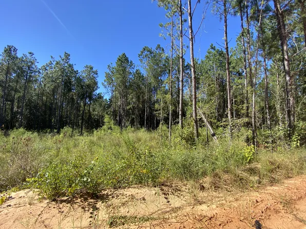 Dorcas Rd, Crestview, FL 32539