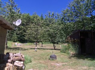 113 Bellicum Rd, Morton, WA 98356